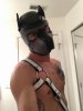 Pup_Troy, Pornstar Performer in Chicago, IL