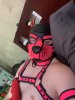 Pup_Toxic, Pornstar Performer in Kansas City, MO