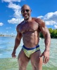 AaronTrainer, Pornstar Performer in Miami, FL